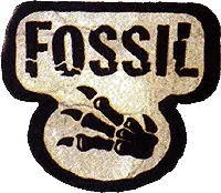 Fossil set artwork