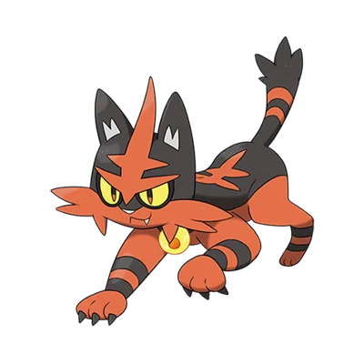 Torracat